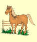 caballo (horse)