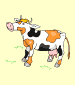 vaca (cow)