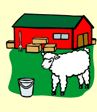 sheep (oveja)