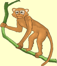 monkey(mono)