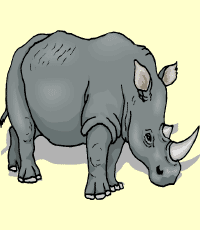rhinoceros (rinocerante)