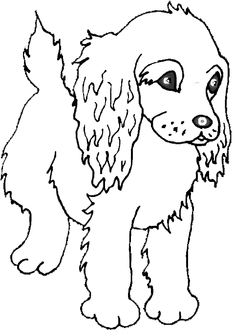 Color this cute puppy coloring page of a cocker spaniel puppy