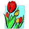 tulips coloring page
