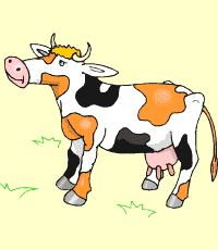 cow (vaca)