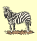 cebra (zebra)