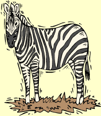 zebra (cebra)