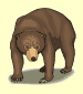oso (bear)
