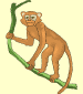 mono (monkey)