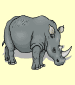 rinocerante (rhinoceros)