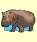 hipopotamo (hippopotamous)