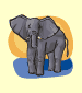 elefante (elephant)