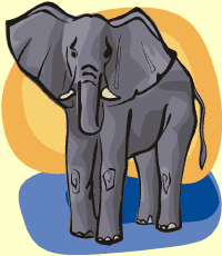elephant (elefante)